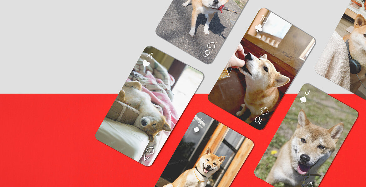 うちの子トランプ